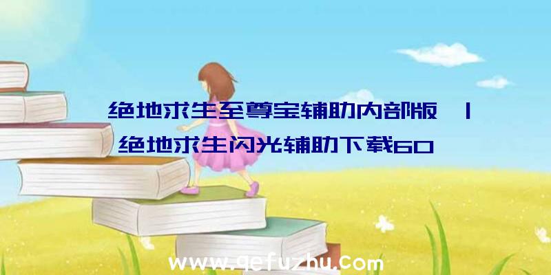 「绝地求生至尊宝辅助内部版」|绝地求生闪光辅助下载60